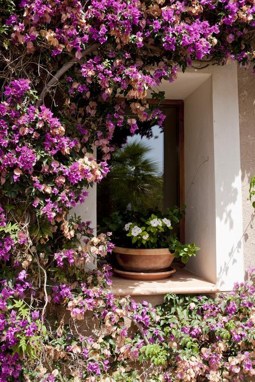 Agroturismo Can Patro Guest House Manacor  Exterior photo
